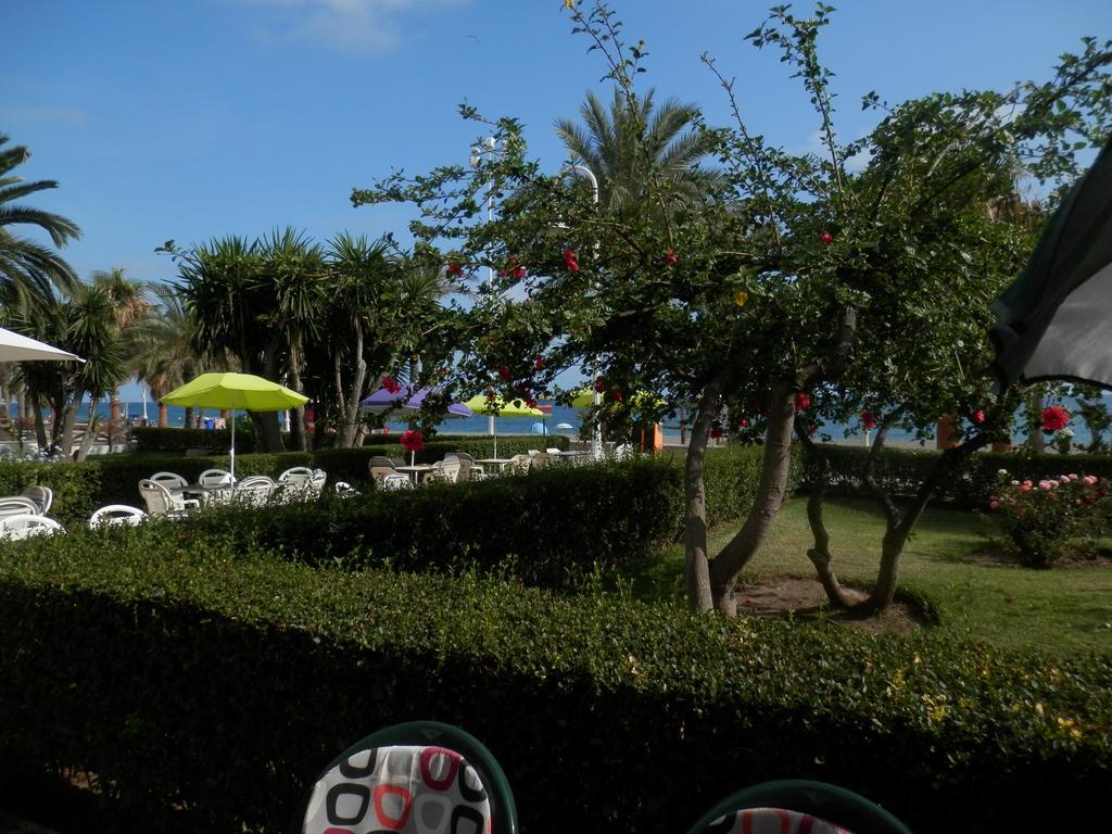 Toda Una Experiencia En La Costa Del Sol, A 100M De La Playa Algarrobo Costa Eksteriør bilde